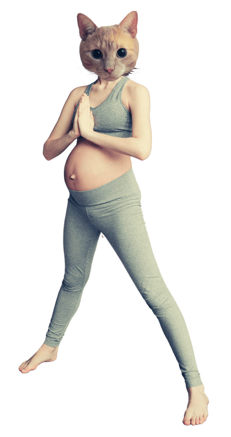 Patrícia Schwenck - Ginecologia e Obstetrícia