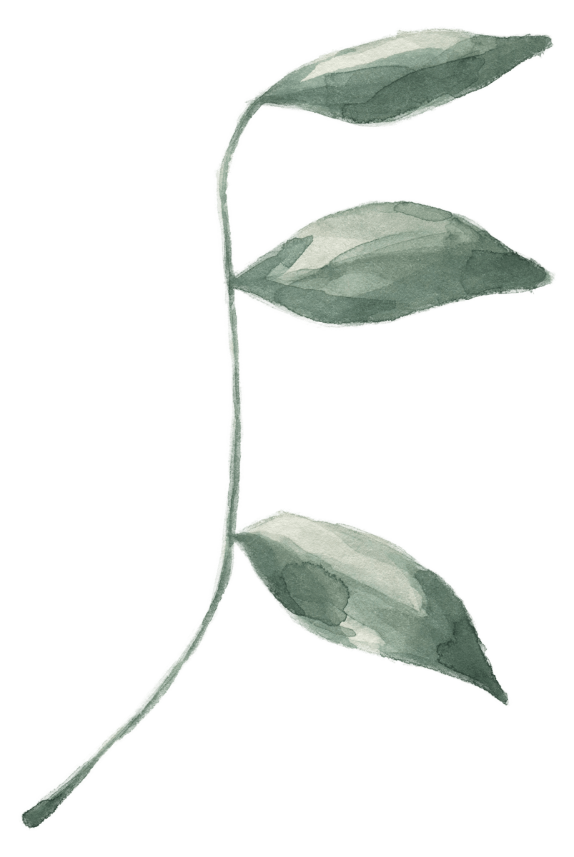 Patrícia Schwenck - Ginecologia e Obstetrícia