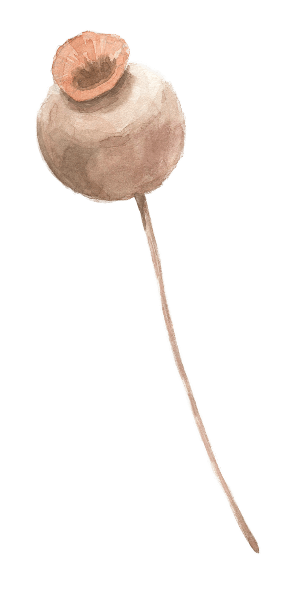 Patrícia Schwenck - Ginecologia e Obstetrícia